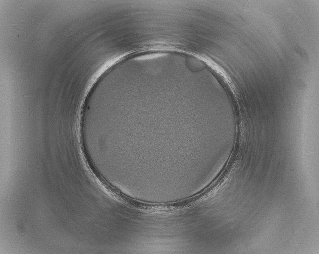 X0000115451333200912020958