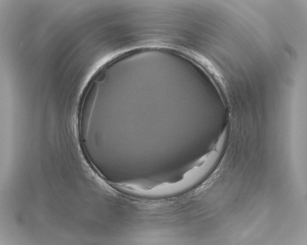 X0000115451334200912020958