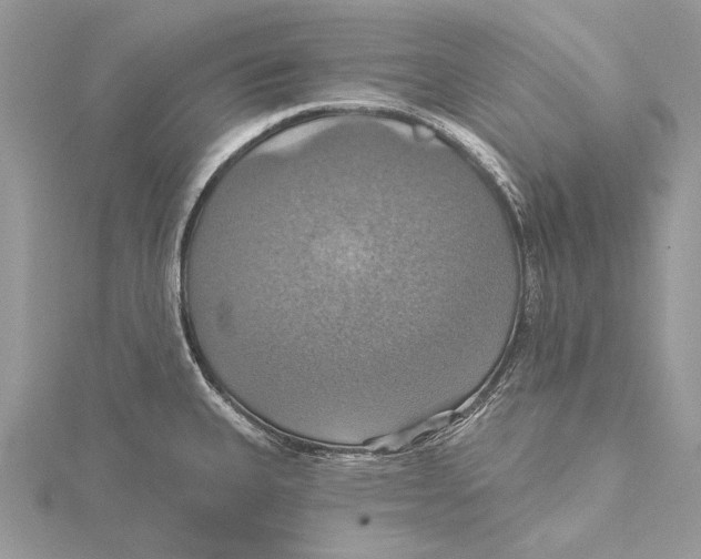 X0000115451335200912020958