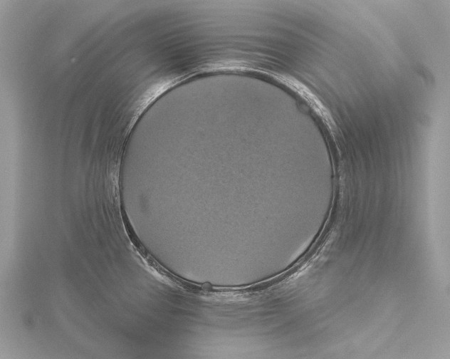 X0000115451337200912020958