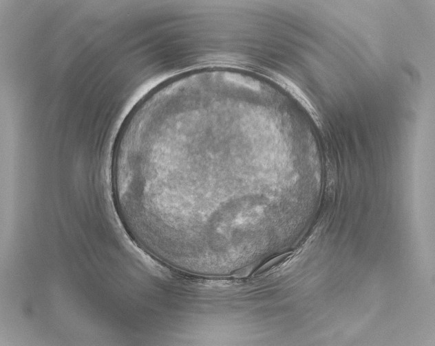 X0000115451339200912020958