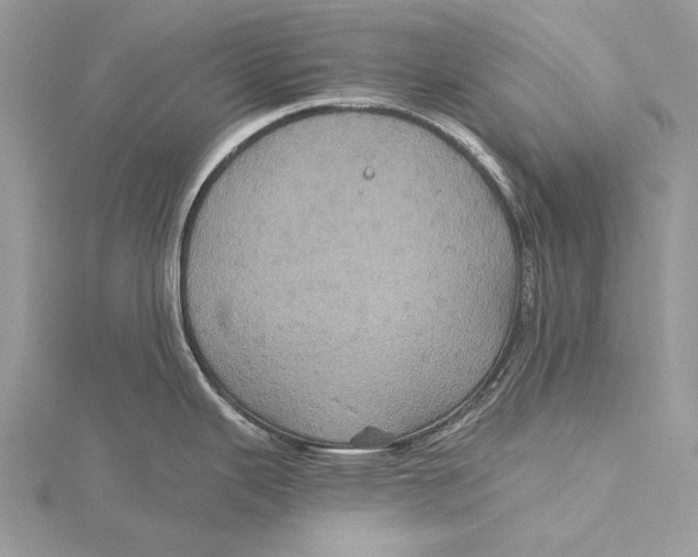 X0000115451343200912020958