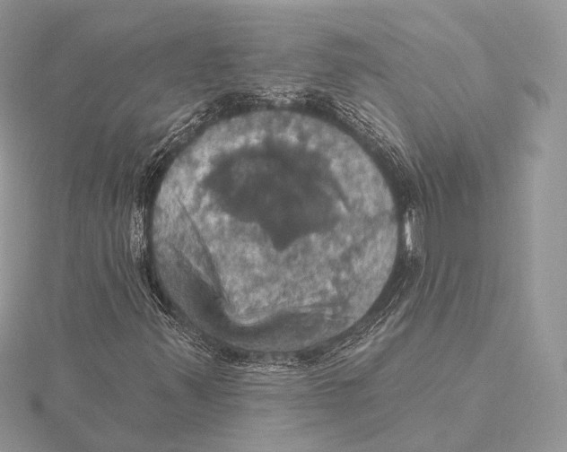 X0000115451347200912020957