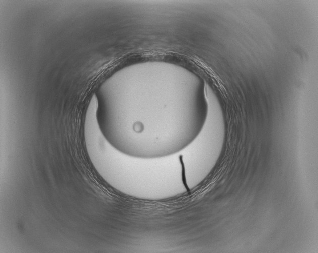 X0000115451348200912020957