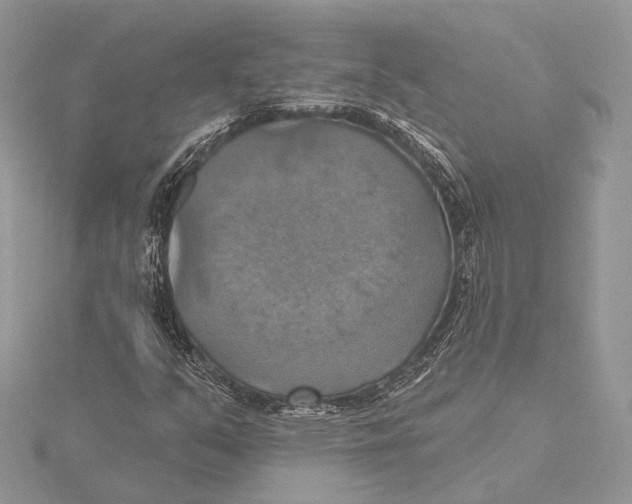 X0000115451351200912020957