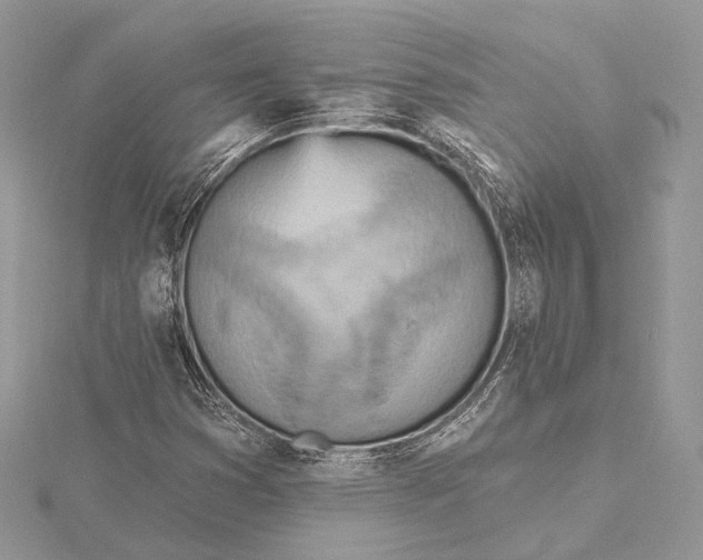 X0000115451353200912020957