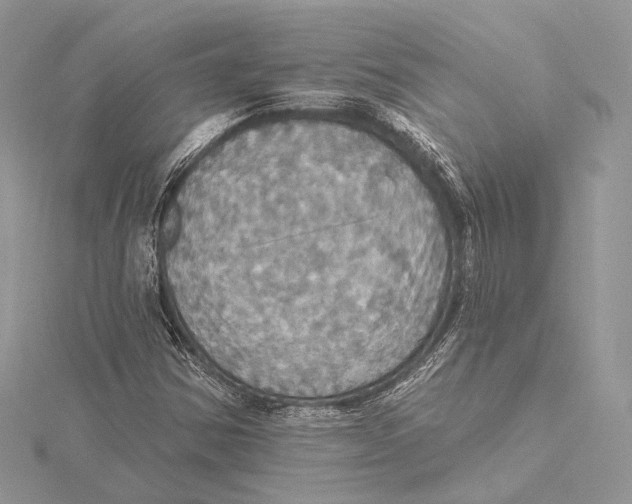 X0000115451354200912020957