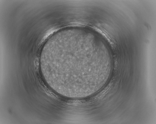 X0000115451355200912020957