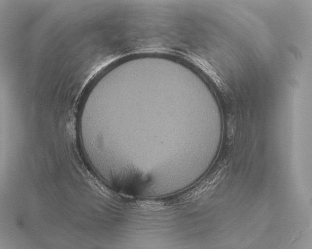 X0000115451356200912020957