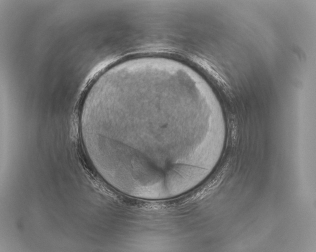 X0000115451358200912020957