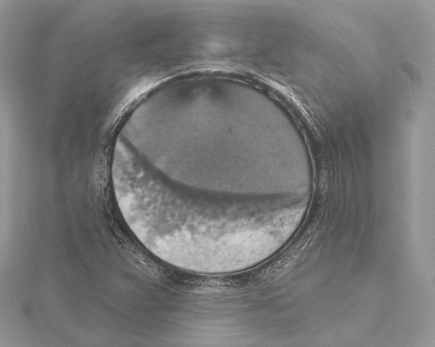 X0000115451359200912020957