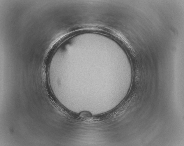 X0000115451360200912020957