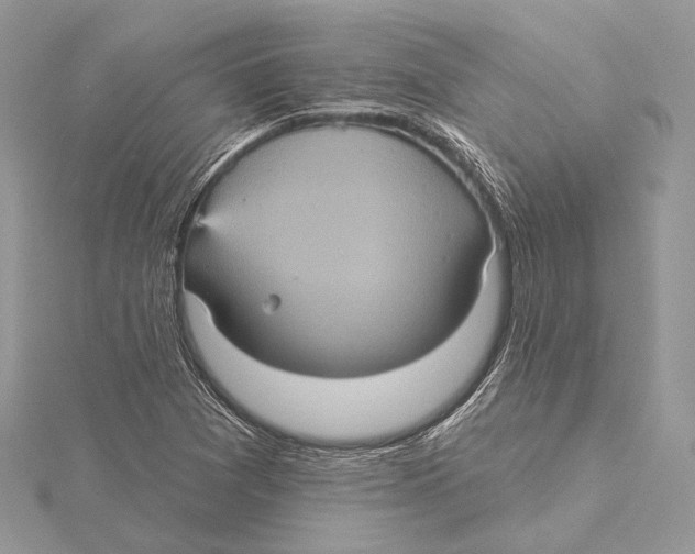 X0000115451361200912020957