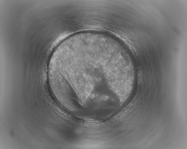 X0000115451363200912020957