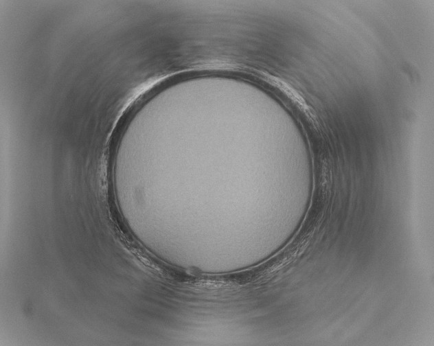 X0000115451364200912020957