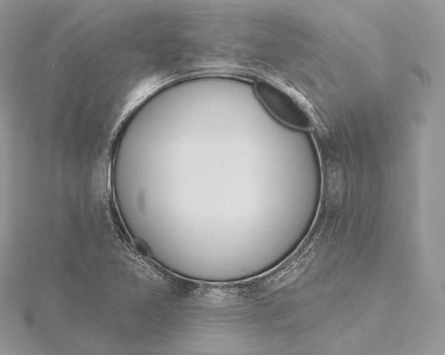 X0000115451365200912020957