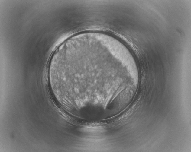 X0000115451367200912020957