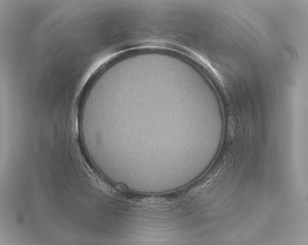 X0000115451368200912020957