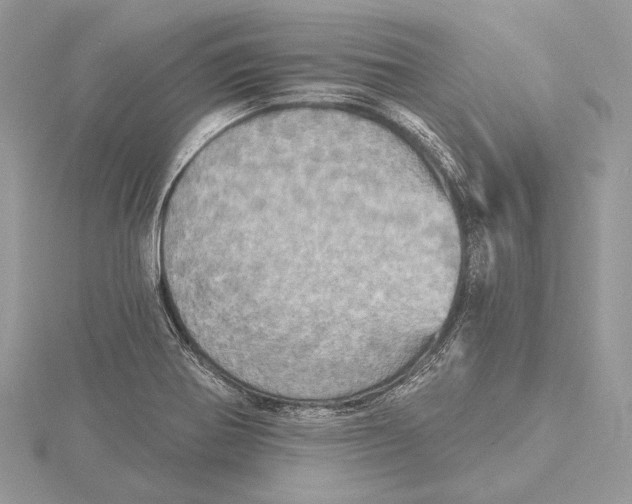 X0000115451370200912020957