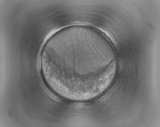 X0000115451371200912020957