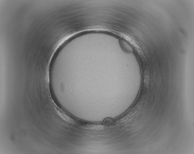 X0000115451372200912020957