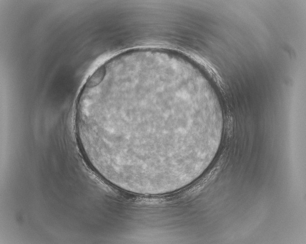 X0000115451374200912020957