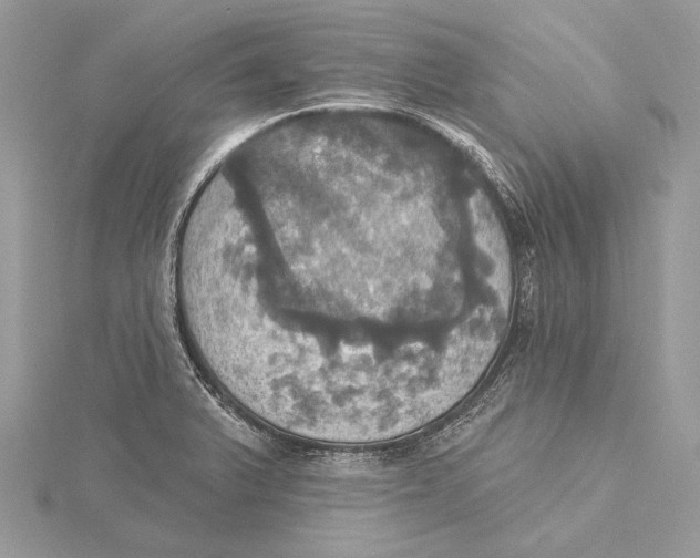 X0000115451375200912020957