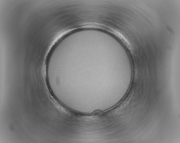 X0000115451376200912020957