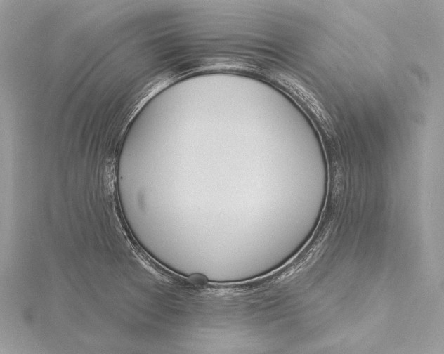 X0000115451377200912020957