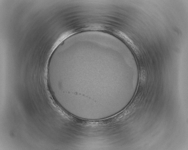 X0000115451378200912020957