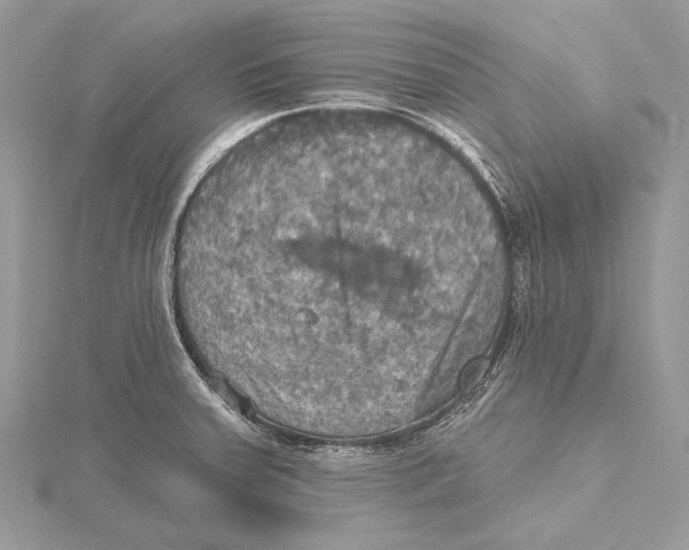 X0000115451379200912020957