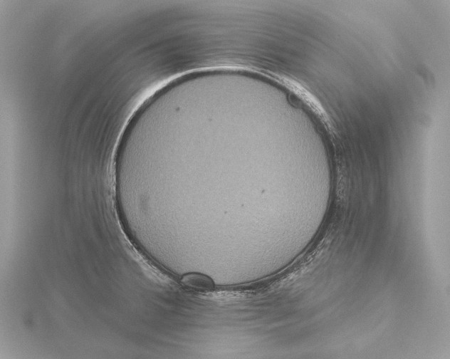 X0000115451380200912020957