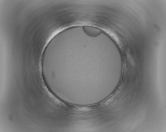 X0000115451382200912020957