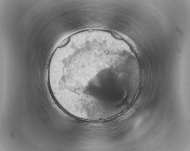 X0000115451383200912020957