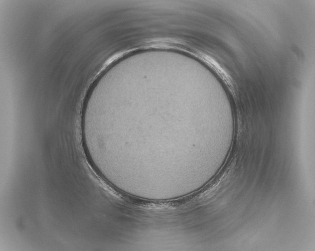 X0000115451384200912020957