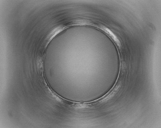 X0000115451385200912020957