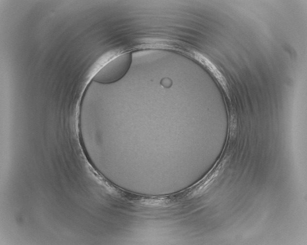 X0000115451386200912020957