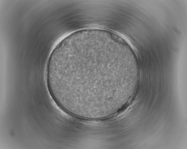 X0000115451387200912020957