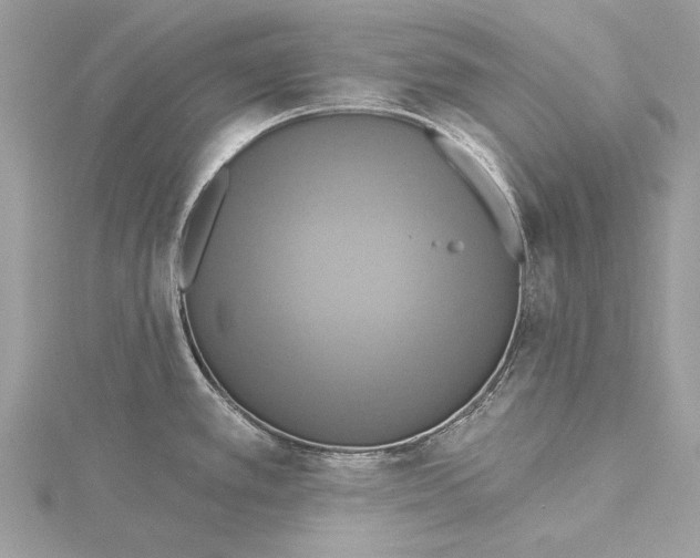 X0000115451389200912020957