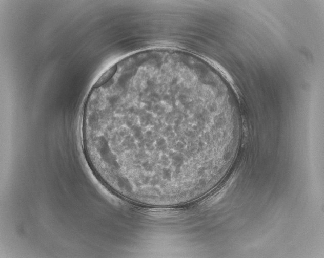 X0000115451391200912020957