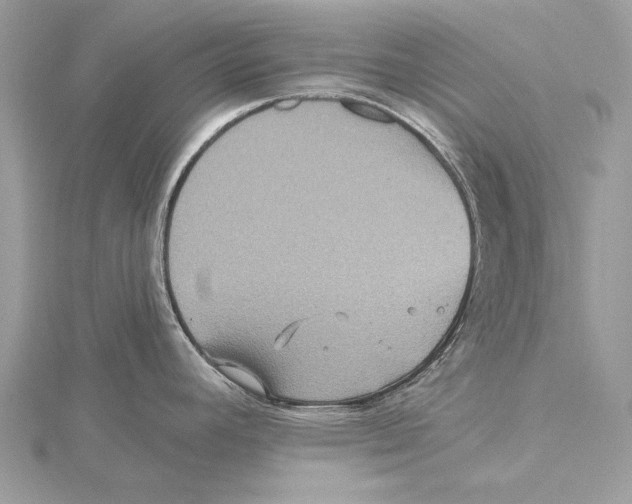 X0000115451392200912020957