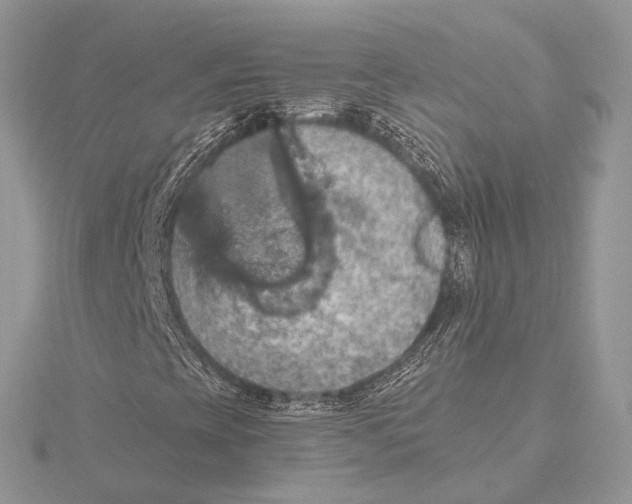 X0000115451393200912020956