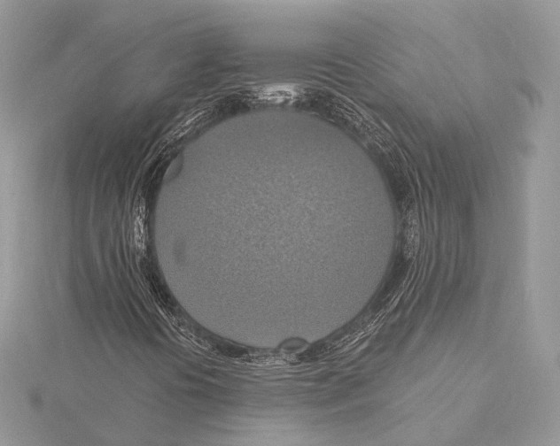 X0000115451394200912020956