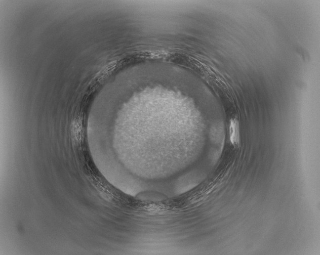 X0000115451395200912020956