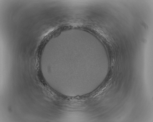 X0000115451398200912020956