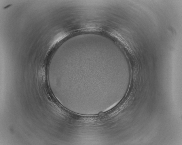 X0000115451402200912020956