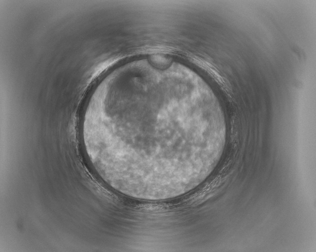 X0000115451404200912020956