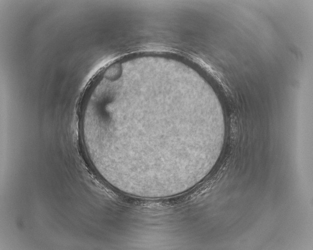 X0000115451408200912020956