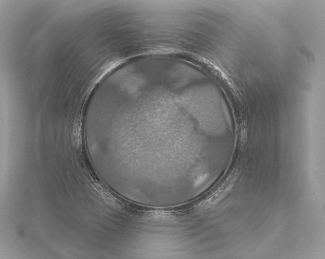 X0000115451409200912020956