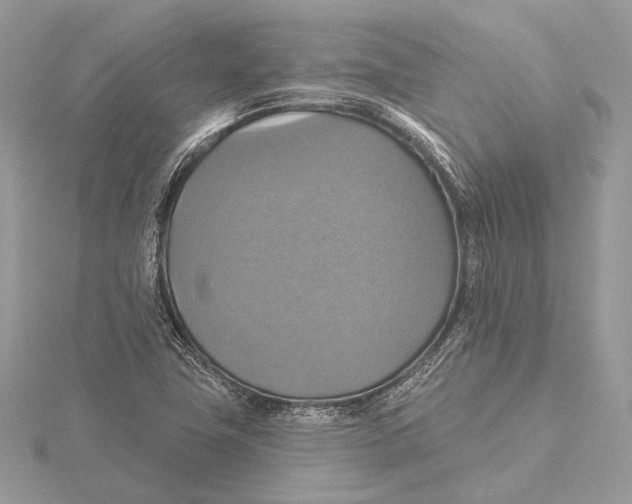 X0000115451411200912020956